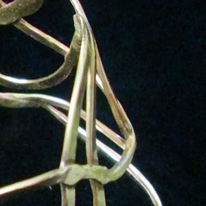 Meet your Posher, Rose